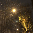 camel-activate avatar