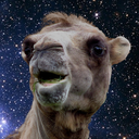 camel-who-killed-luke-skywalker avatar