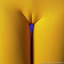 camelcameltoe-blog avatar