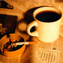 camelicenadam avatar