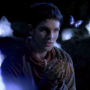 camelotavalon avatar