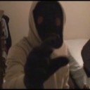 camerasandcreatures avatar