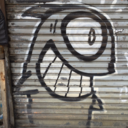 camerashyphotog avatar