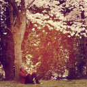 cameronacuavera avatar