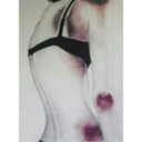 camilaadrianaa avatar