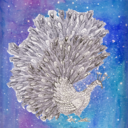 camilafalquez avatar