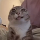 camilaleecosas avatar