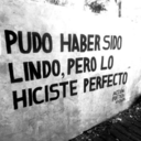 caminataeterna avatar