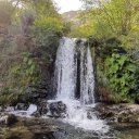 caminheirogastronomico avatar