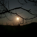 caminos-sin-recorrer avatar