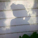 camminopianopernonfarumore avatar