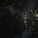 camouflaged-realm avatar