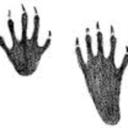 campcounselor-punx avatar