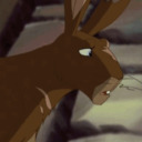 campionofefrafa avatar