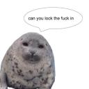 can-you-lock-the-fuck-in avatar