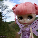 canadadryprincess avatar