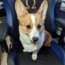 canadian-ronin avatar