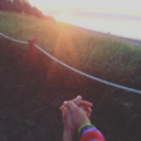 canadian-vegan avatar