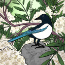 canadianbakinblr avatar