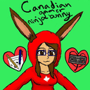 canadiangamerninjabunny avatar