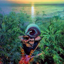 canadiangreen-blog avatar