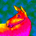 canadianladymoose avatar