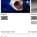 canadianoutcasst avatar