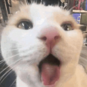 cananathebanana avatar