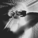 canarydownthemine avatar