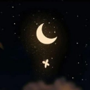 canarystarfaire avatar