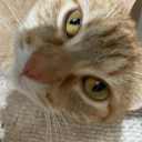 cancercadaver avatar