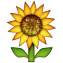 cancersun-blog avatar