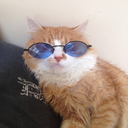 cancionesdepapel-blog avatar