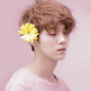 candeladragneel avatar