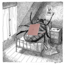 candelasplace avatar