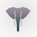 candidconfusion avatar