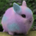 candied-floof avatar