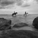 candiedcamote avatar