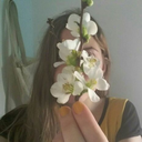 candinosauria avatar