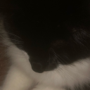 candlecryptid avatar