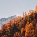 candlelit-cottage avatar