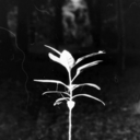 candlemountain-blog avatar