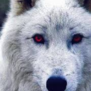 candy-rainbows avatar