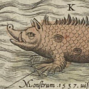 candycoatedcrayfish avatar