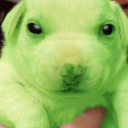 candyheartlikemine avatar