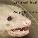 candyqueenblog avatar