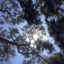 candyreader-blog avatar