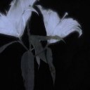 candysickness avatar