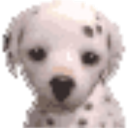 canem-acidum avatar