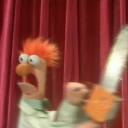 caneshateaccount avatar